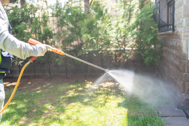 Best Pest Removal Services  in Spring Hill, FL