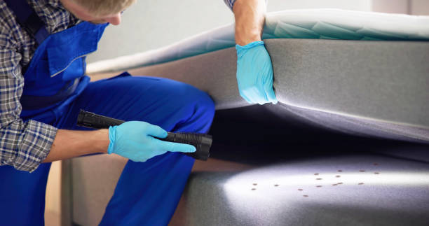 Best Exterminator Services  in Spring Hill, FL
