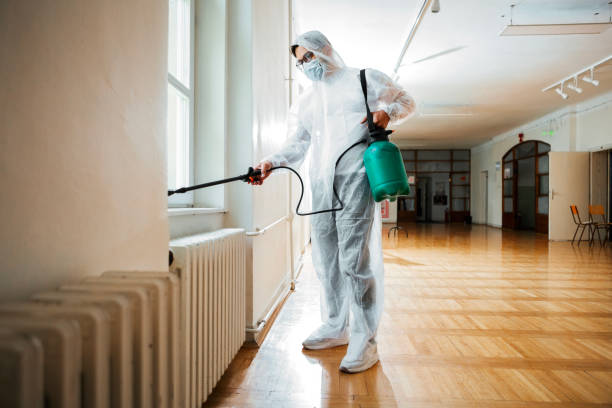 Professional Pest Control in Spring Hill, FL