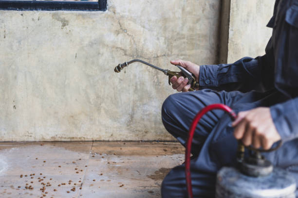 Best Pest Control Near Me  in Spring Hill, FL