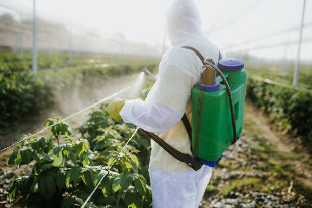 Best Cockroach Control Services  in Spring Hill, FL